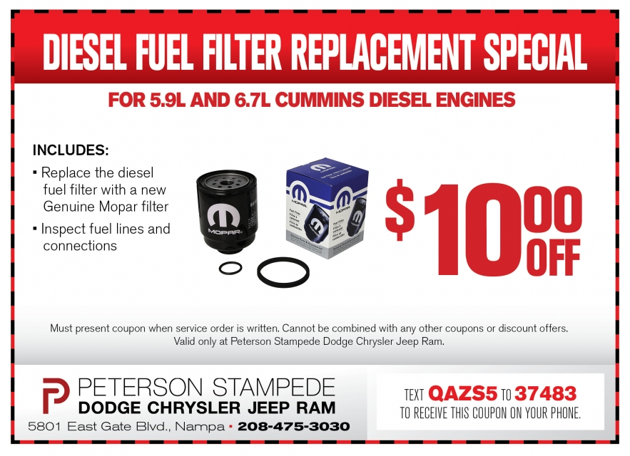 Diesel Fuel Filter Replacement